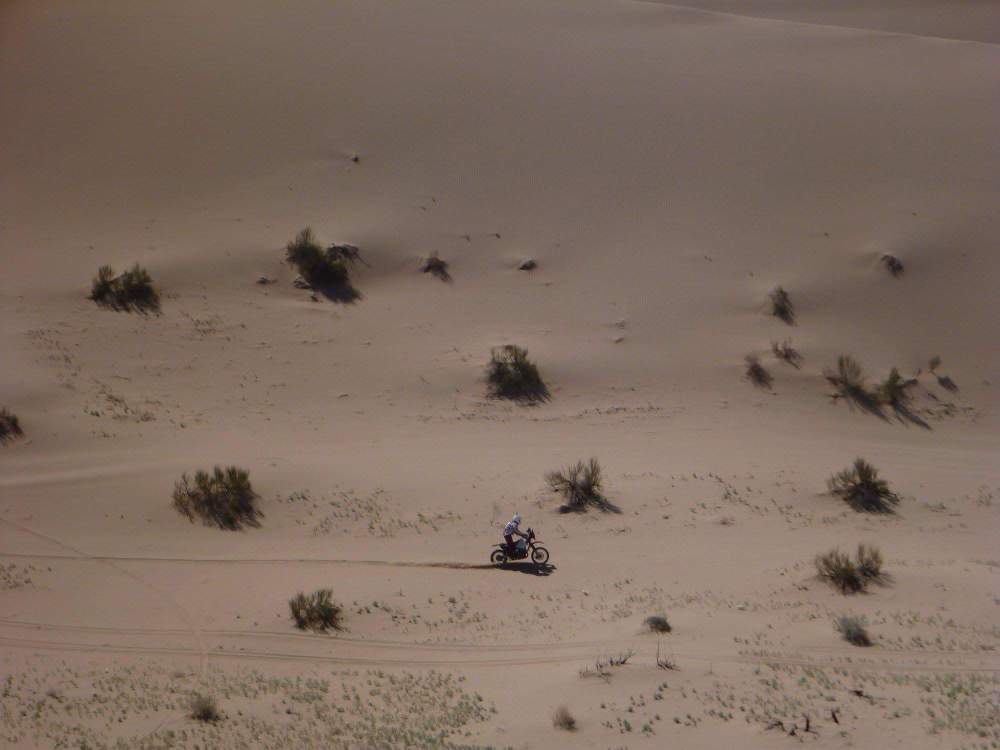 17492710_10158419582050111_27871277541884572_o